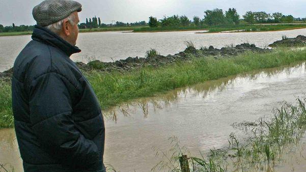 Allerta meteo fino a stanotte Roncodigà finisce sott’acqua