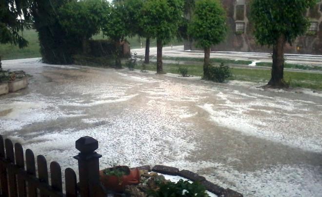 La grandine devasta le colture 