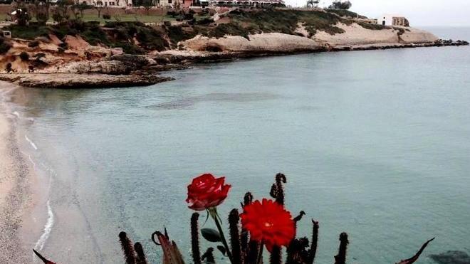 Il video della città di mare e d’amare