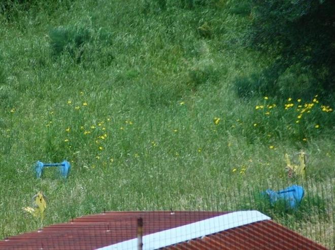Parco giochi di via Aldo Moro il web protesta per il degrado