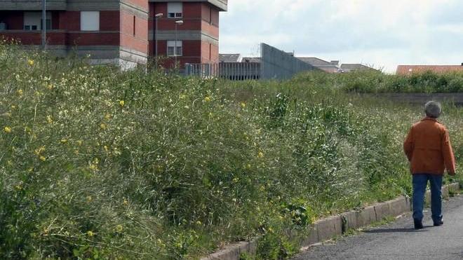 Parchi e aree verdi invase dalle erbacce