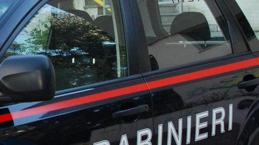 Marijuana e cocaina in casa: arrestata