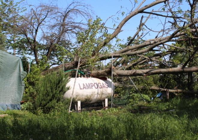 Albero cade su un bombolone di gas, arrivano i pompieri