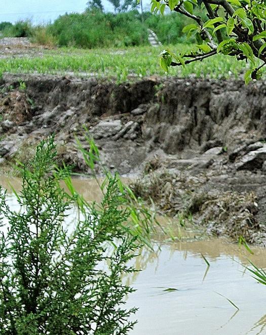 Controlli sulla rete dei canali 