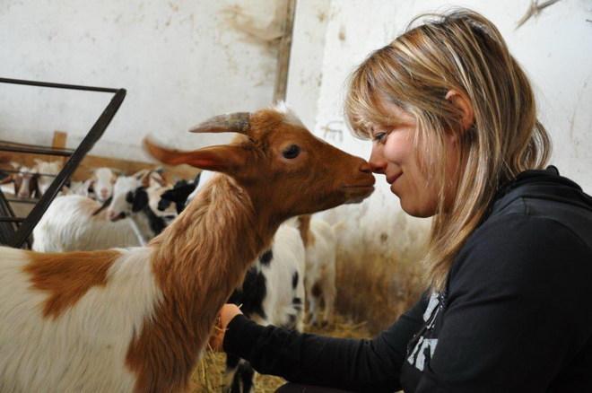 La ragazza che sussurra alle capre, giovane imprenditrice sarda premiata a Roma 