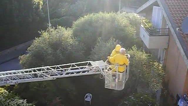 Vigili alle prese con un favo di api
