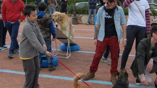 Bimbi e cani insieme per crescere