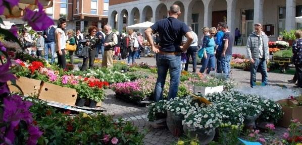 Successo per la manifestazione: centro pieno di gente
