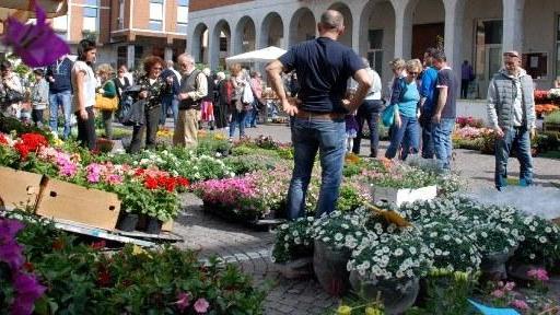 Successo per la manifestazione: centro pieno di gente