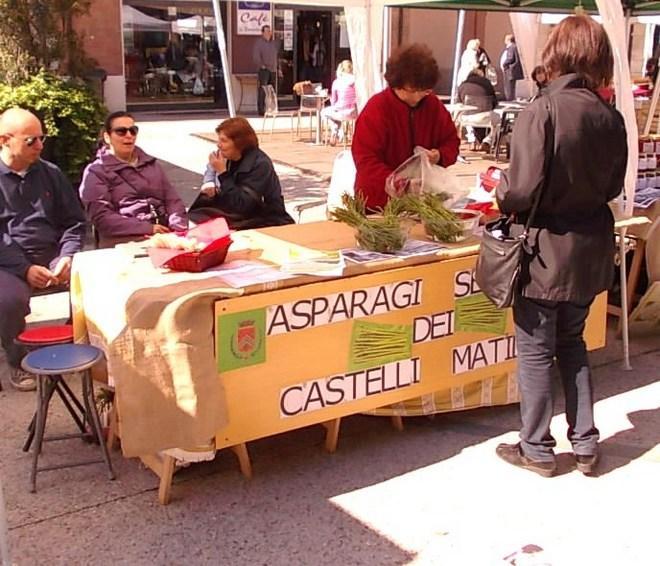 L’asparago selvatico, Re della festa 