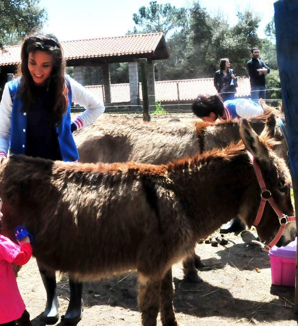Giornate dell’asino, un successo 