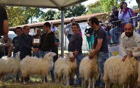Stazzi e Cussogghji e fiera degli ovini, l’evento raddoppia 