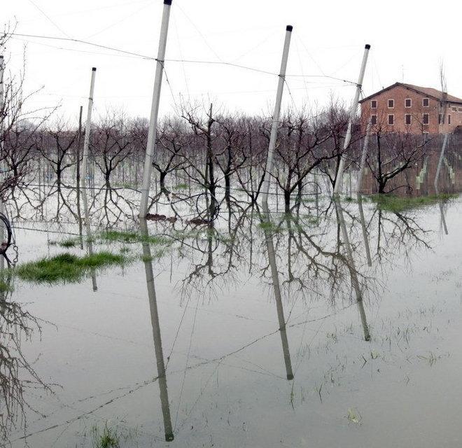 Caccia vietata nelle aree colpite dall’alluvione 