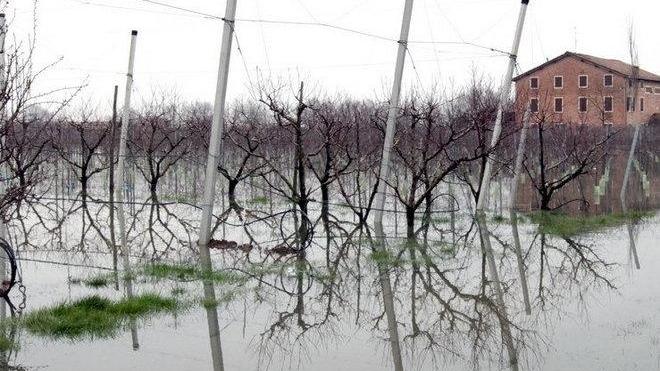 Caccia vietata nelle aree colpite dall’alluvione