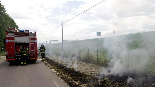 Rogo di “piumini” minaccia l’A1
