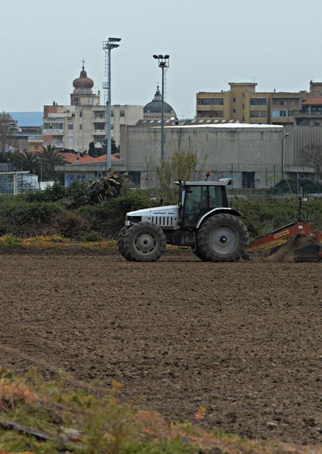 Risaie e zanzare: non c’è pericolo 