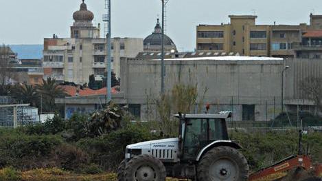 Risaie e zanzare: non c’è pericolo