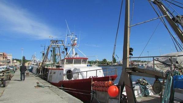 Cade in barca, infortunio sul lavoro