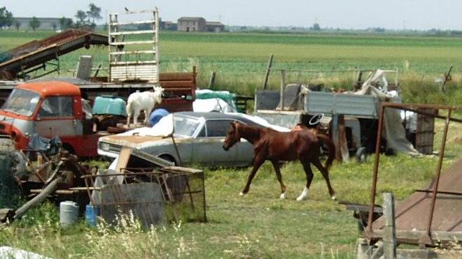 Zoo degli orrori, condannato il proprietario