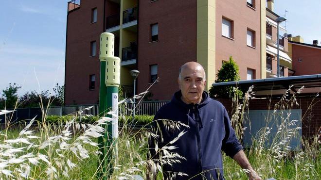 «Il Comune non taglia l’erba salvateci da bisce e ratti»