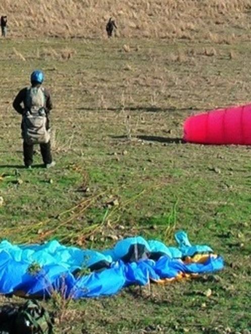 Oggi i Grifoni tornano a volare 