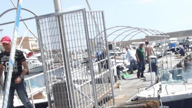 Due giornate ecologiche per pulire i fondali del porto