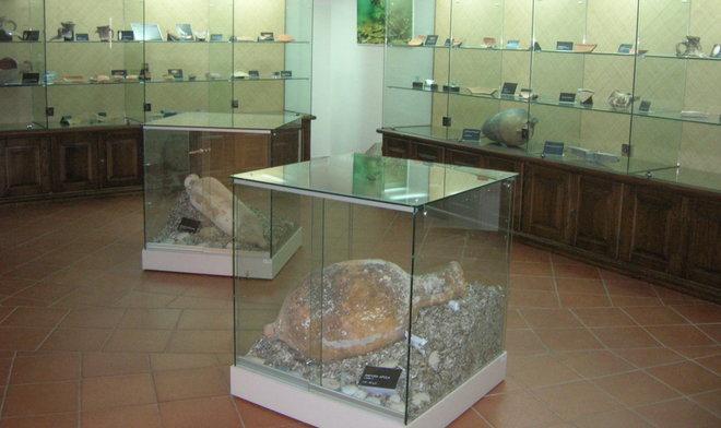 Edilizia popolare, il Tar a favore di Torpè