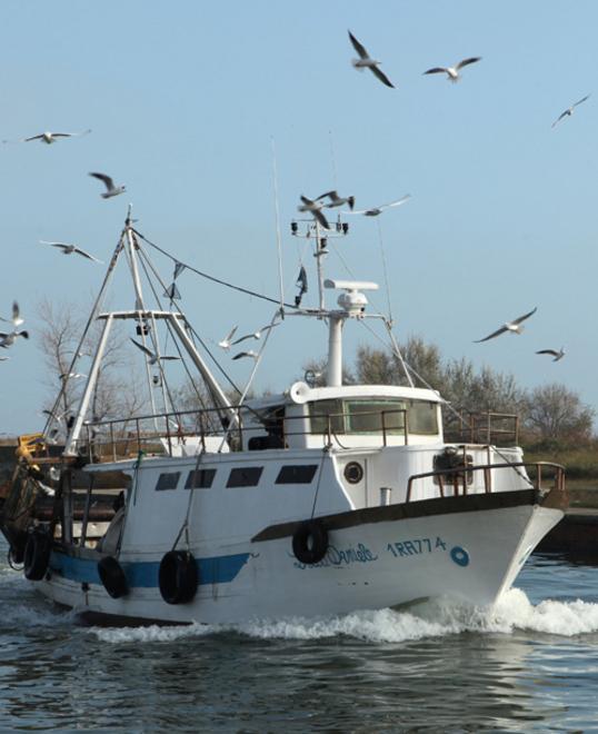 Marchio “bio” al pesce del Delta 