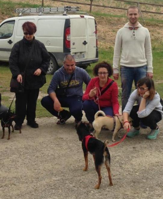 “A piedi nudi” fa giocare con i cani 