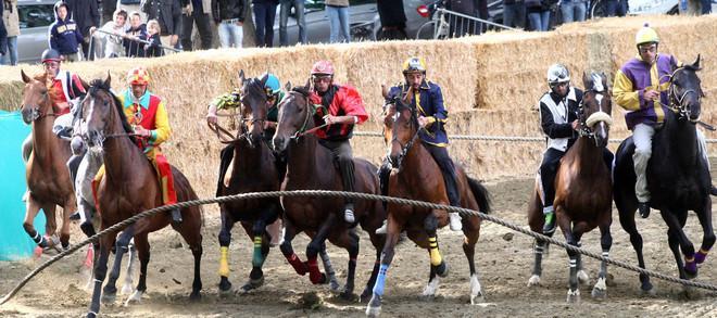 Fotografa il Palio 2014 e corri con la Nuova 