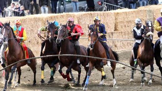 Fotografa il Palio 2014 e corri con la Nuova