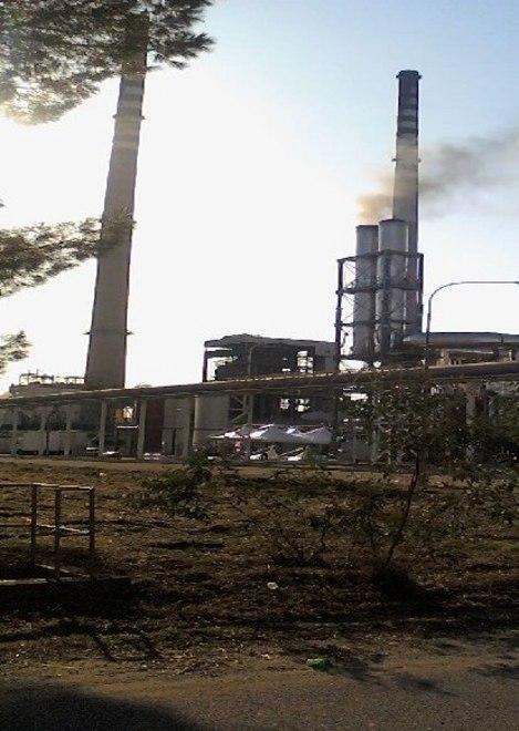 La fuliggine coprì 200 ettari e 2000 capi Bonifiche? Nessuna 