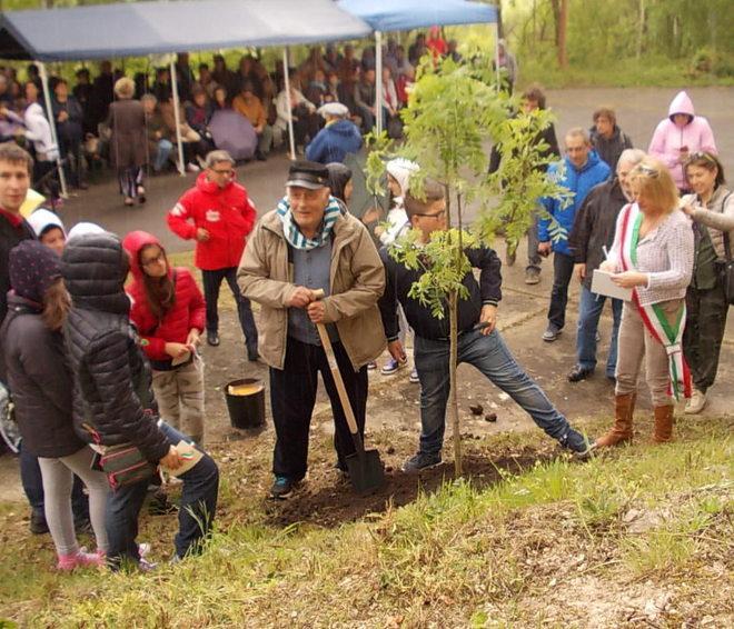 Un albero in ricordo delle vittime 
