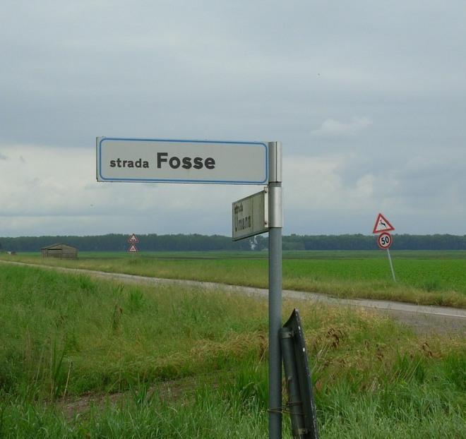 Corse clandestine, indagini su un possibile giro di scommesse 