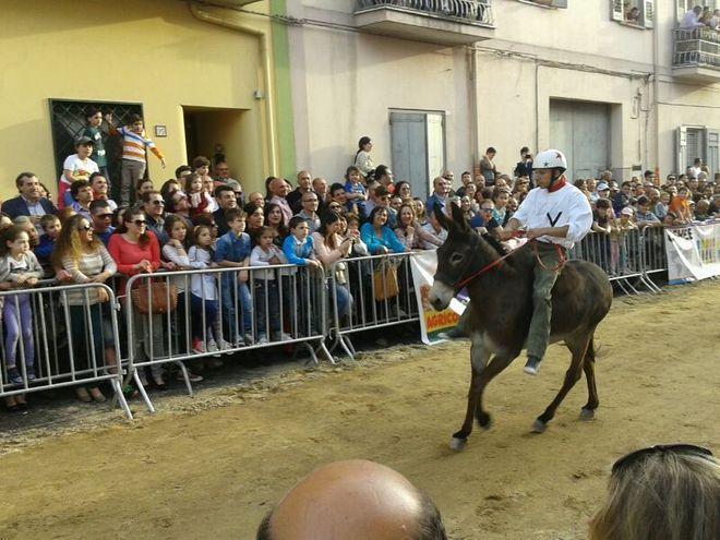 L’asino Acciaio trionfa al palio e diventa campione d’Italia 
