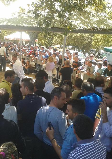 Sfida tra ovini e “Stazzi e Cussogghji”, doppio successo