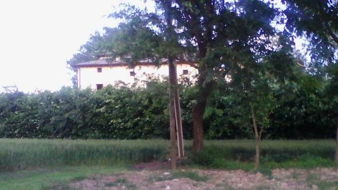 Collegamento con l’A22: «Per le aziende è vitale»