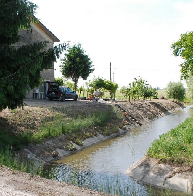 «Ora cosa potrò fare senza di lei?» 