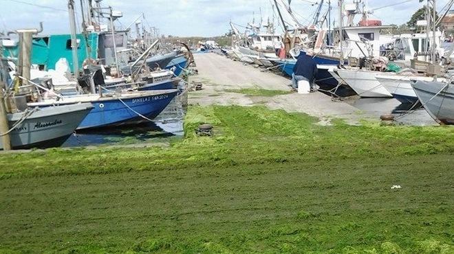 «Lo Stato intervenga nella Sacca» 