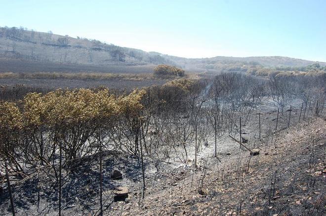 Incendi, le fiamme minacciano le case nella periferia di Arbus