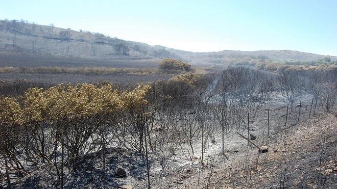Incendi, le fiamme minacciano le case nella periferia di Arbus
