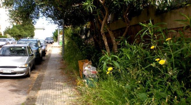 Sporcizia e blatte nel rione Oleandro