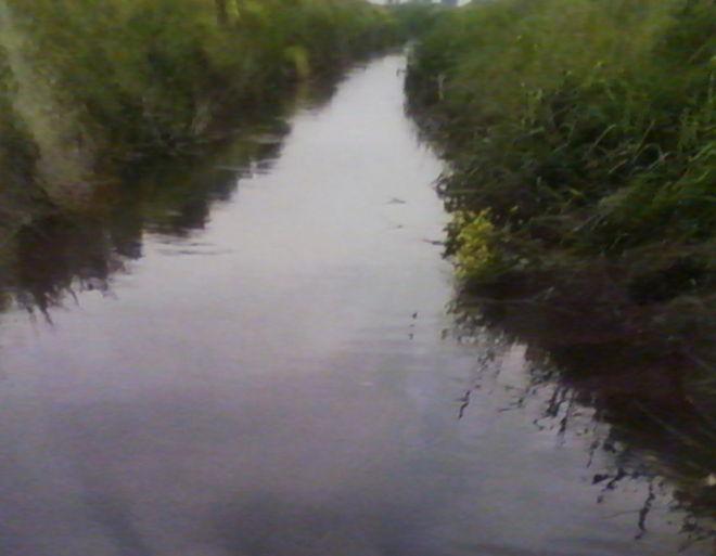 «Il colore del canale preoccupa» 
