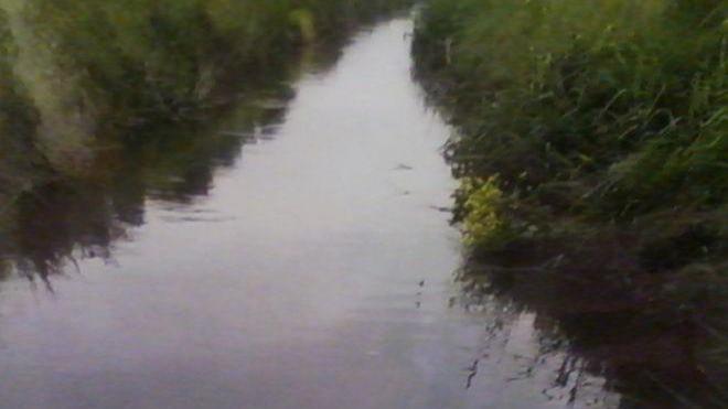 «Il colore del canale preoccupa»