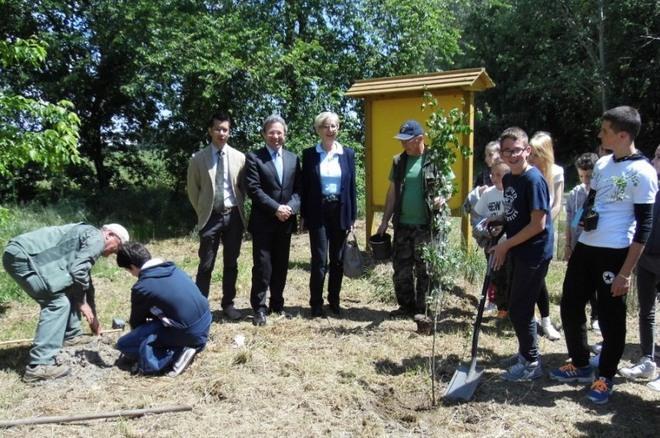 Energia pulita per il futuro E arrivano oltre 2mila alberi