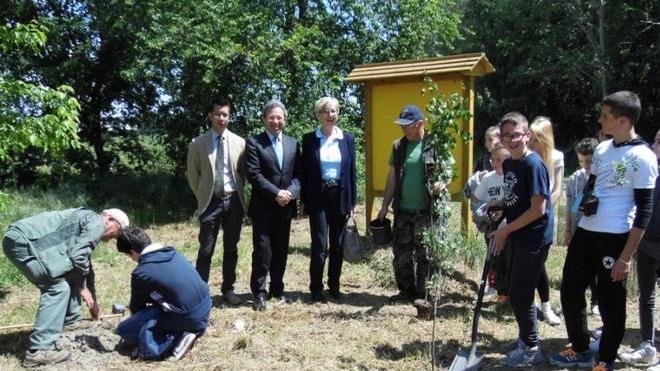 Energia pulita per il futuro E arrivano oltre 2mila alberi