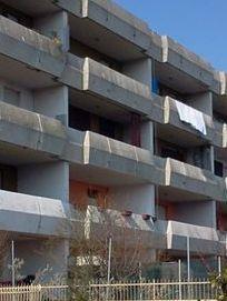 Blitz al Ginko: 16 case occupate 