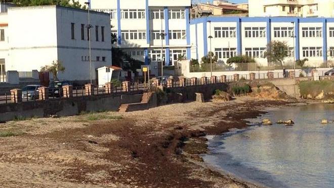 Spiaggia sporca e invasa da alghe