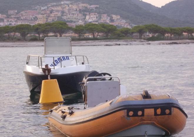 Spiaggia per cani, il consiglio comunale deciderà lunedì