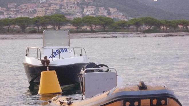 Spiaggia per cani, il consiglio comunale deciderà lunedì